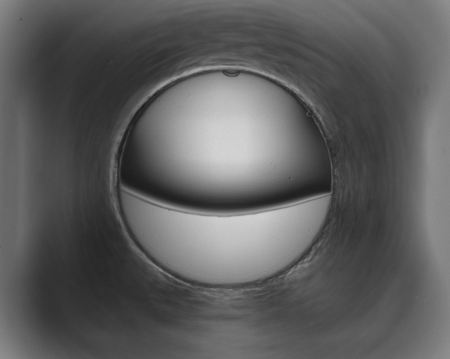 X0000089931527200706290745