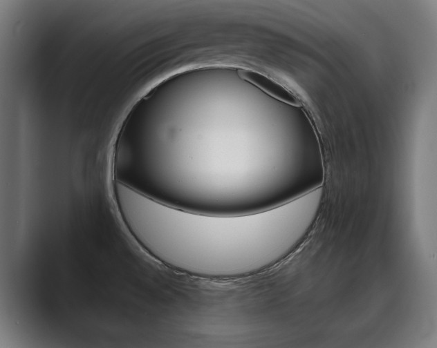 X0000089931528200706290745