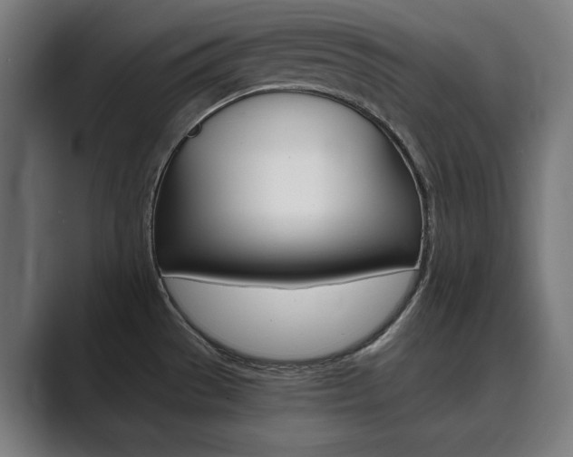 X0000089931529200706290745