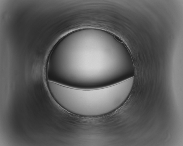 X0000089931531200706290745