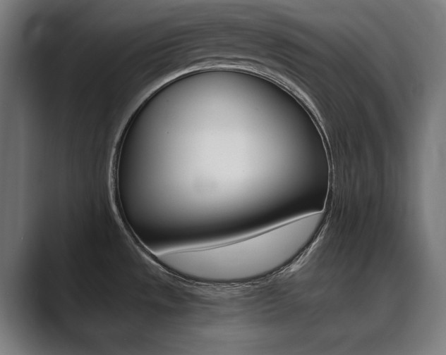 X0000089931533200706290745