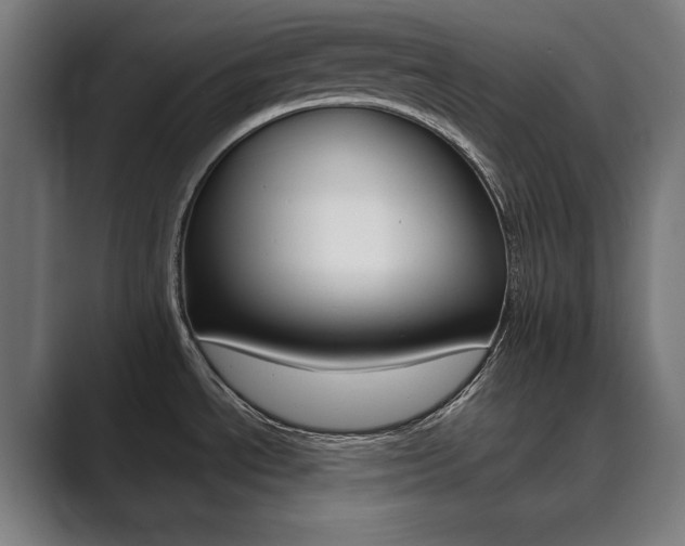 X0000089931534200706290745