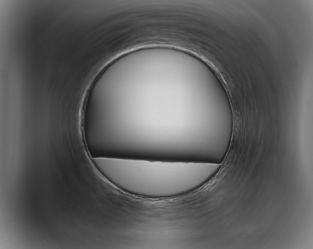X0000089931535200706290745