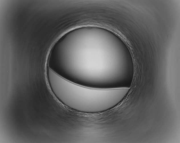 X0000089931536200706290745