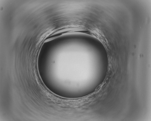 X0000089930001200706291209