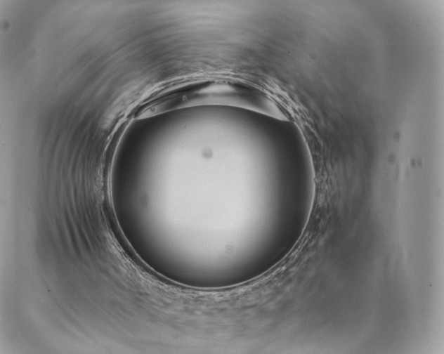 X0000089930002200706291209