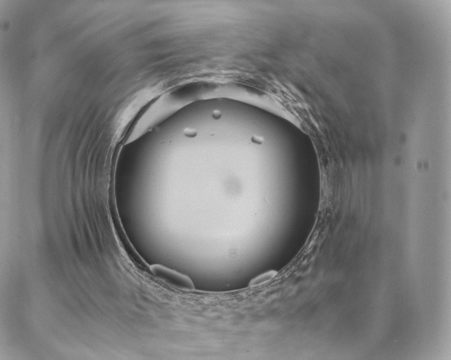 X0000089930003200706291209