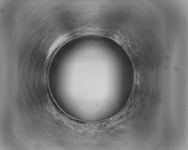 X0000089930004200706291209