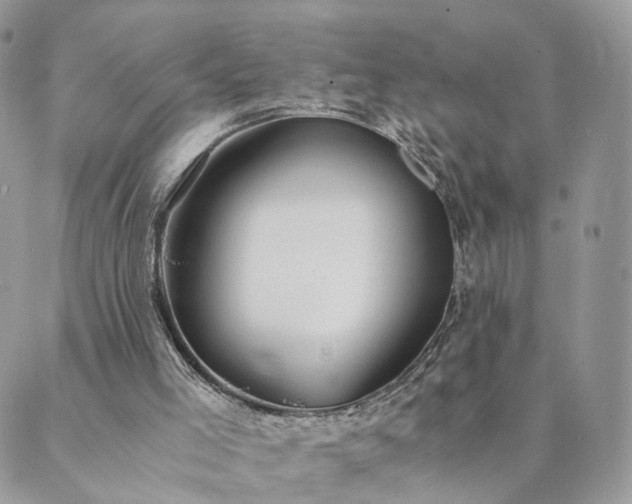 X0000089930005200706291209