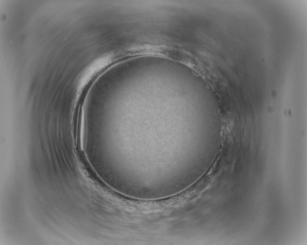 X0000089930006200706291209