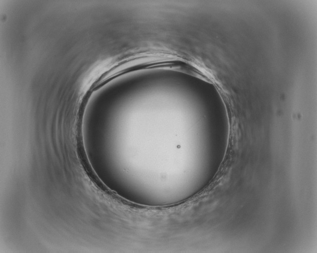 X0000089930007200706291209