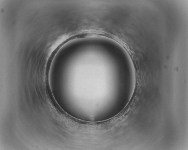 X0000089930008200706291209