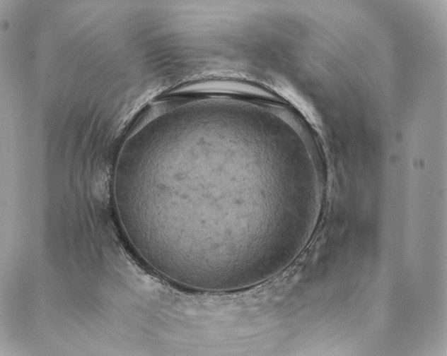 X0000089930009200706291209