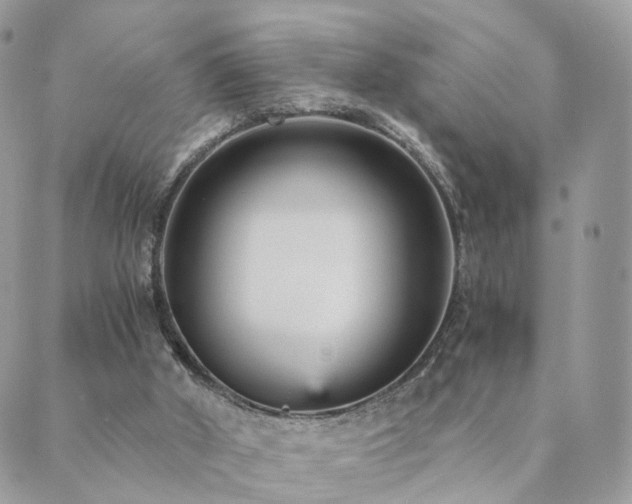 X0000089930010200706291209