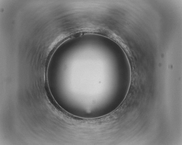 X0000089930011200706291209