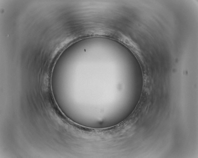 X0000089930012200706291209