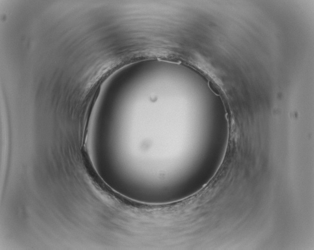 X0000089930013200706291209