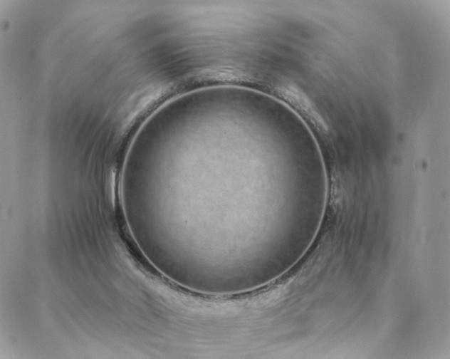 X0000089930014200706291209