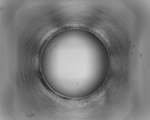 X0000089930016200706291209