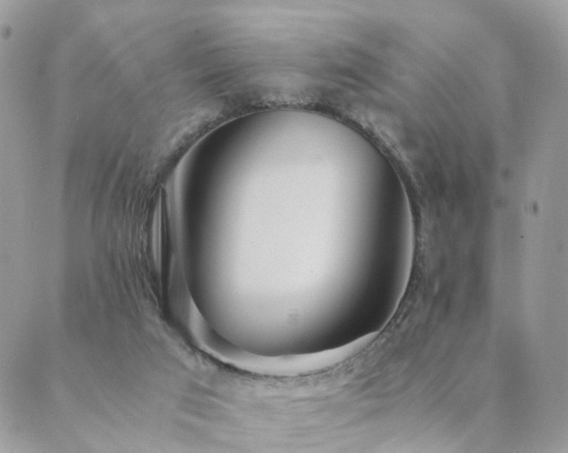 X0000089930017200706291209