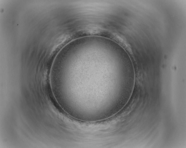 X0000089930018200706291209