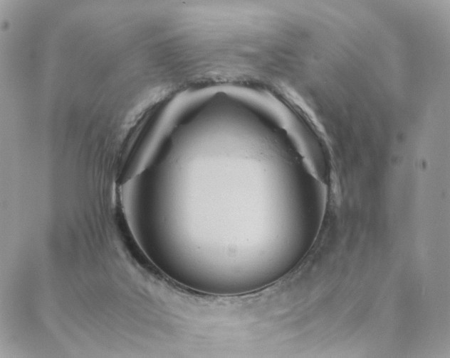 X0000089930019200706291209