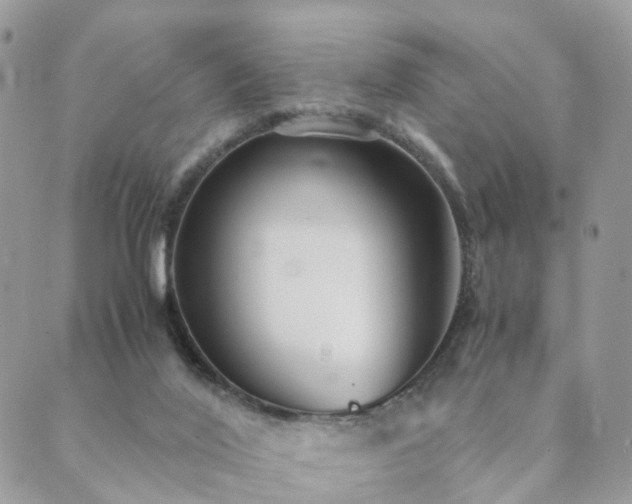 X0000089930020200706291209