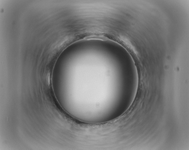 X0000089930021200706291209