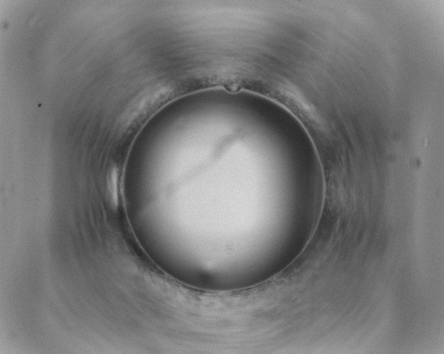 X0000089930022200706291209