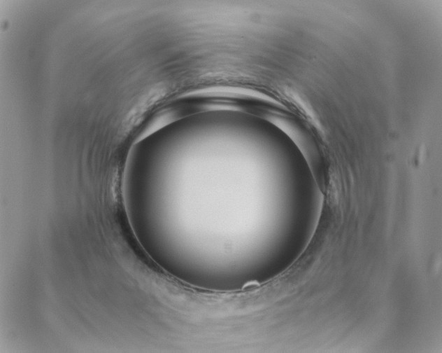 X0000089930023200706291209