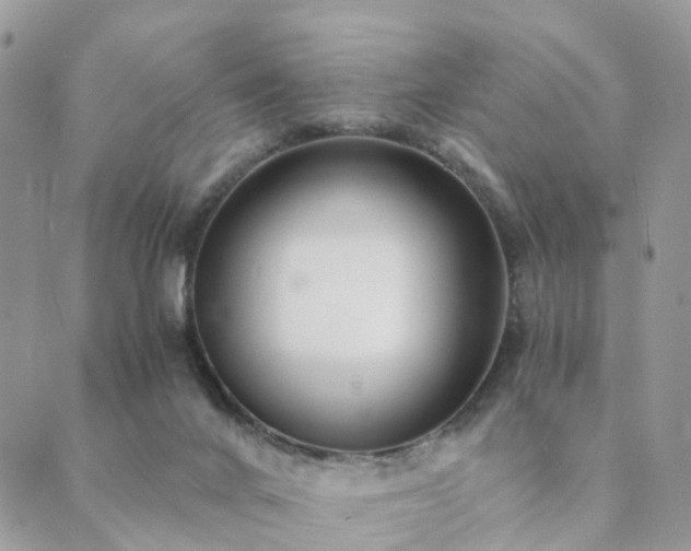 X0000089930024200706291209