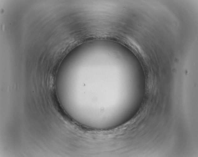 X0000089930025200706291209