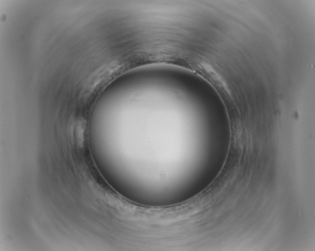 X0000089930026200706291209