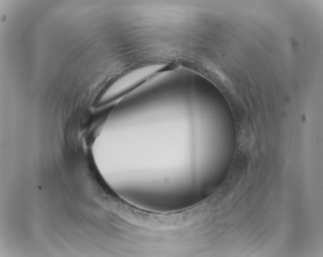 X0000089930027200706291209