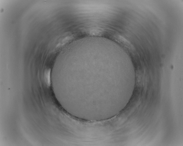 X0000089930028200706291209