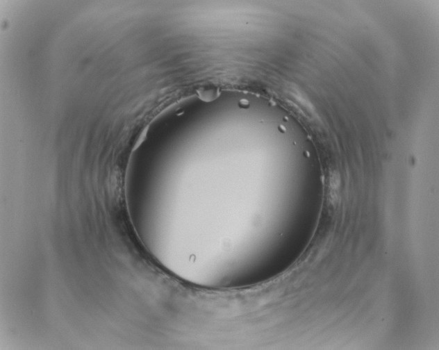 X0000089930029200706291209