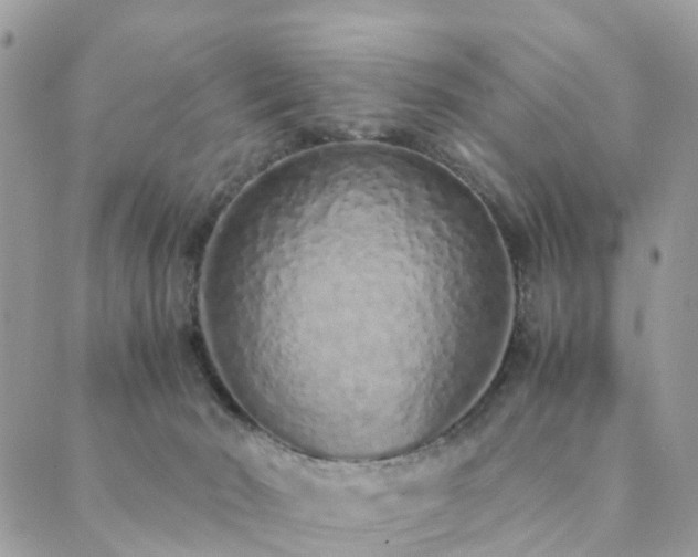 X0000089930030200706291209