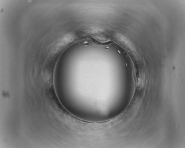 X0000089930031200706291209