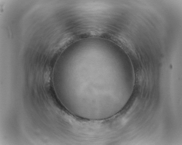 X0000089930032200706291209