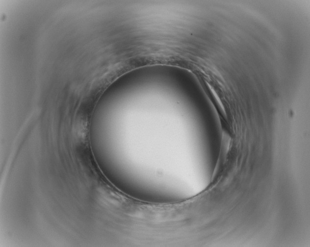 X0000089930033200706291209