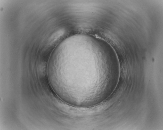 X0000089930034200706291209