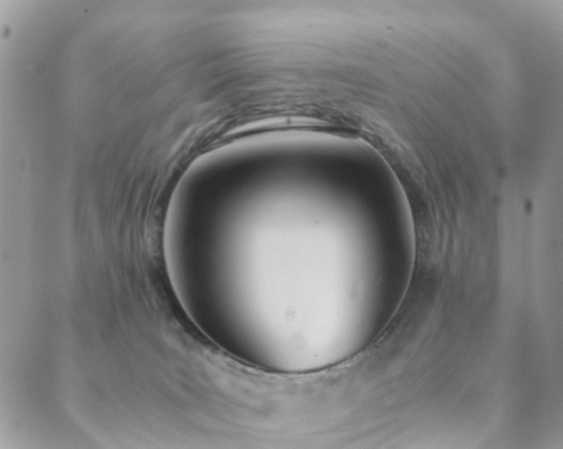 X0000089930035200706291209