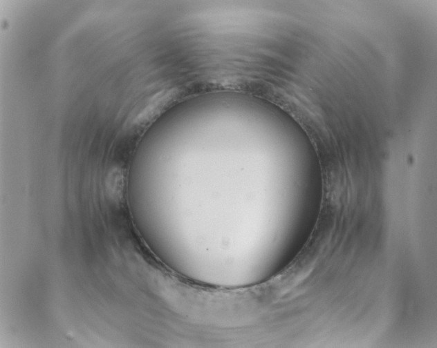 X0000089930036200706291209