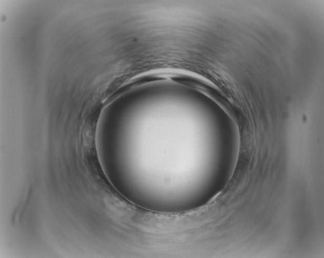 X0000089930037200706291209