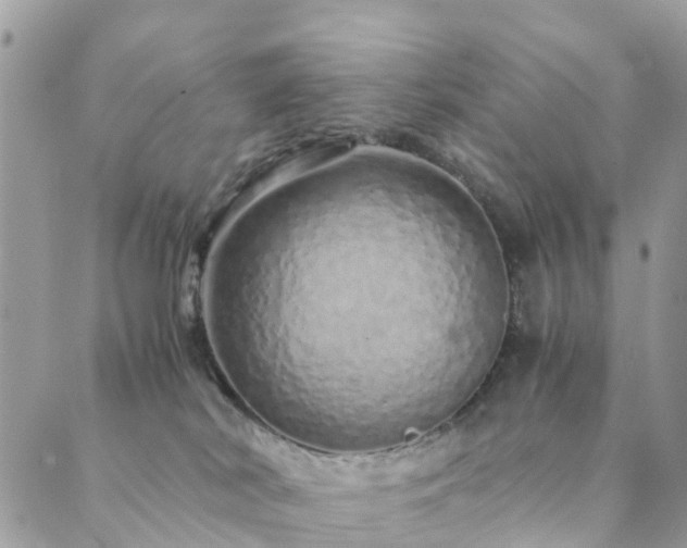 X0000089930038200706291209