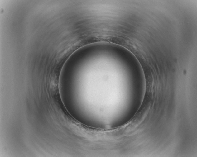 X0000089930040200706291208