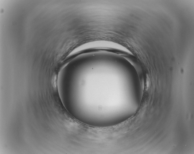 X0000089930041200706291208