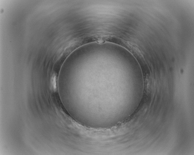 X0000089930042200706291208