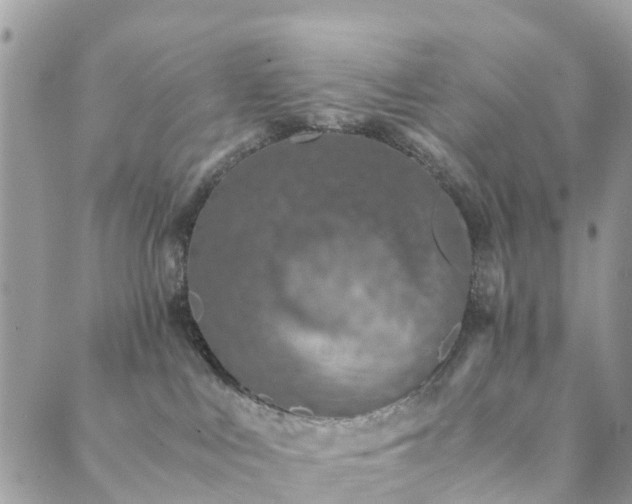 X0000089930043200706291208