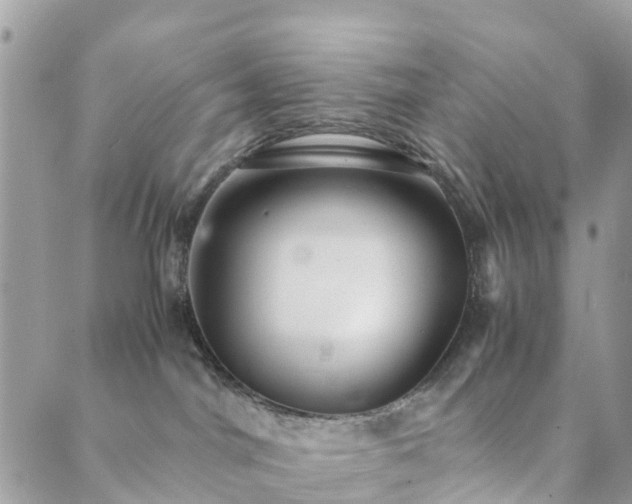 X0000089930044200706291208